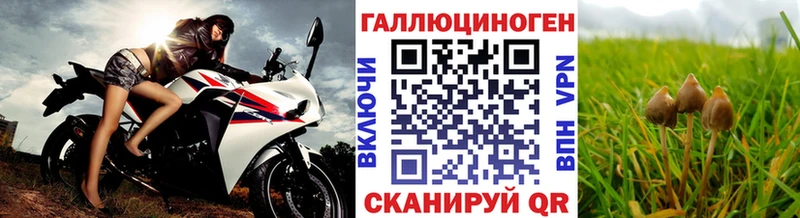 Псилоцибиновые грибы Psilocybine cubensis  купить   Няндома 